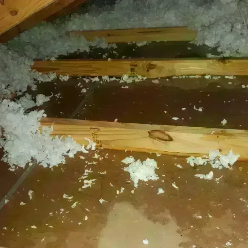 Attic Water Damage in Winnsboro, SC